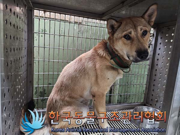 한국동물구조관리협회_441560202401162